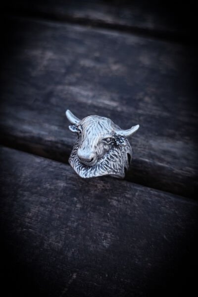 Ayarlanabilir Antik Gümüş Kaplama Yüzük, Kararmaz Erkek Yüzüğü